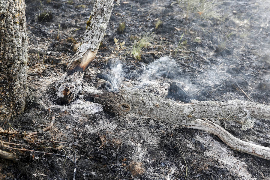 La Junta declara nivel 2 en el incendio forestal de Santa Colomba de Curueño