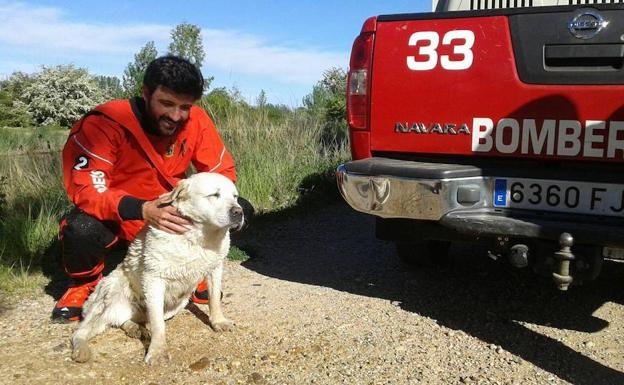 Los bomberos rescatan a un perro y plantean denunciar a su dueño por no evitar que escapara