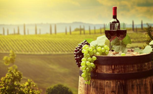 Enoturismo, experiencias únicas, vivencias inolvidables en Valladolid
