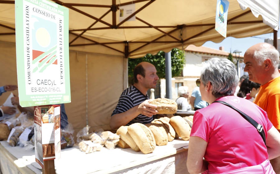 Feria del Pan de Grijota