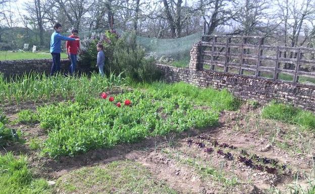 La Diputación de Zamora retoma el programa de huertos escolares ecológicos