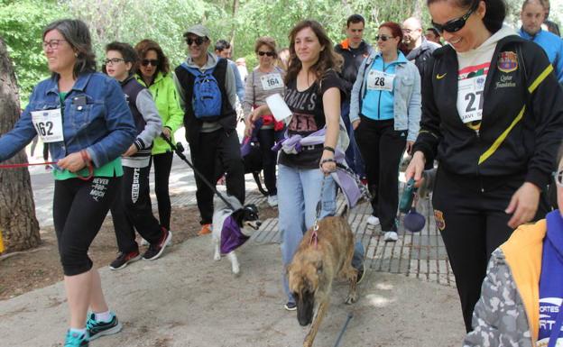 Los planes imprescindibles este fin de semana en la provincia de Palencia