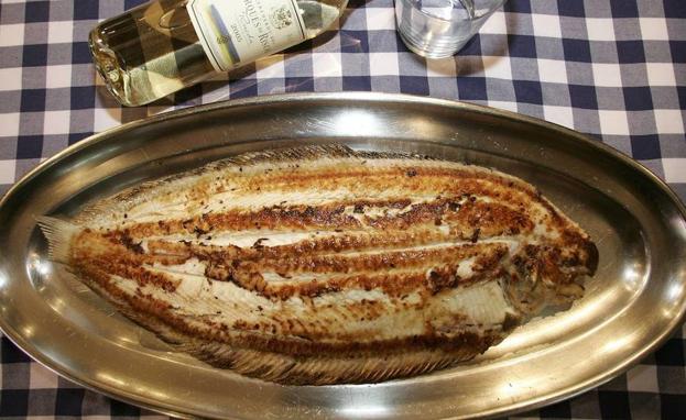 El lenguado, la sandalia de Júpiter