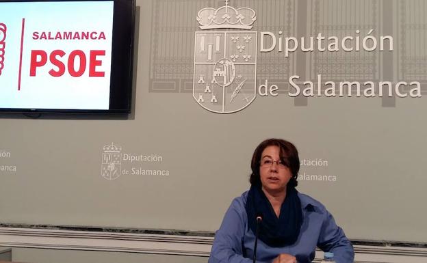 Sanidad, medio ambiente y cultura centran las mociones del PSOE en la Diputación