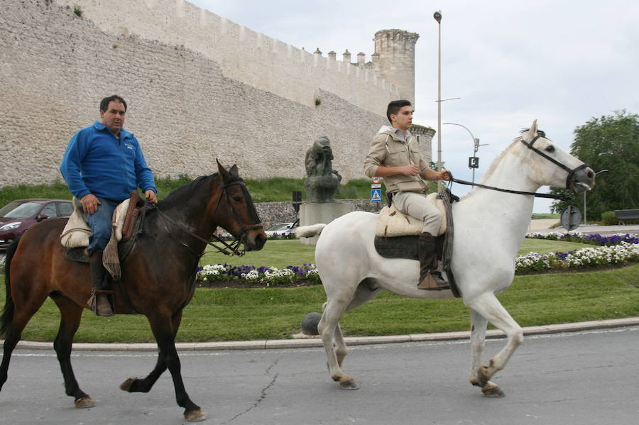 Feria del caballo en Cuéllar