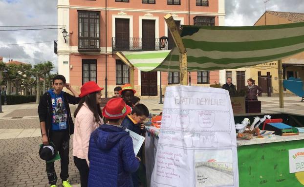 Alumnos por la sostenibilidad, en Paredes de Nava