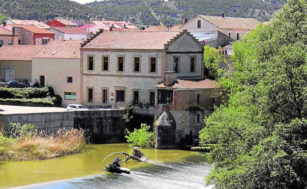 Molino que no anda, no gana