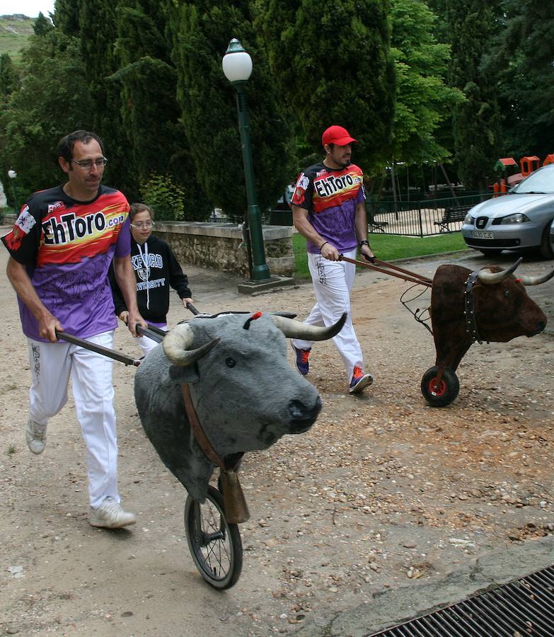 Día de la Provincia en Cuéllar