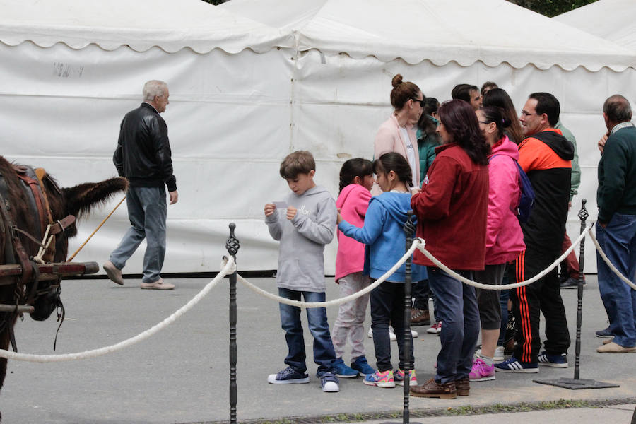Feria Agroganadera de Alba de Tormes