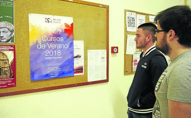 La Universidad recupera sus Cursos de Verano con 21 propuestas formativas