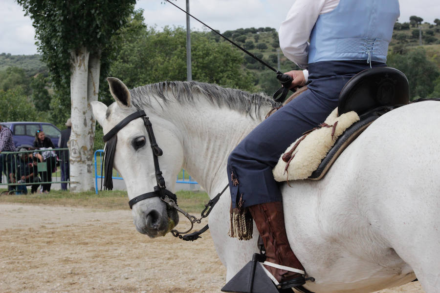 La Feria Agroganadera de Alba de Tormes cierra sus puertas con éxito
