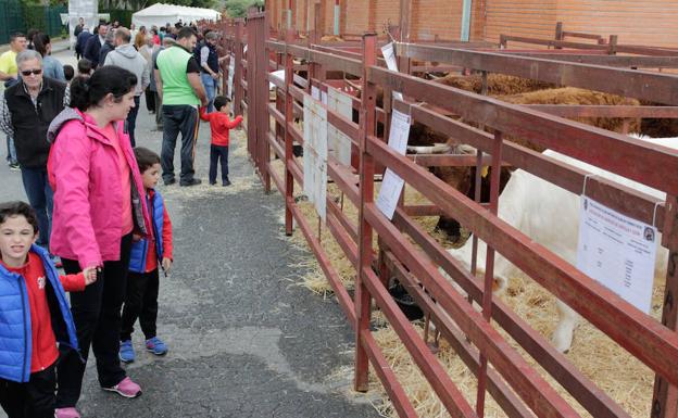 Feria Agroganadera vence al mal tiempo y cierra con éxito