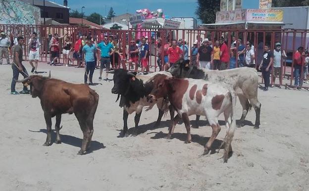 Villanueva de Duero vibra con un multitudinario 'Toro Pinariego'