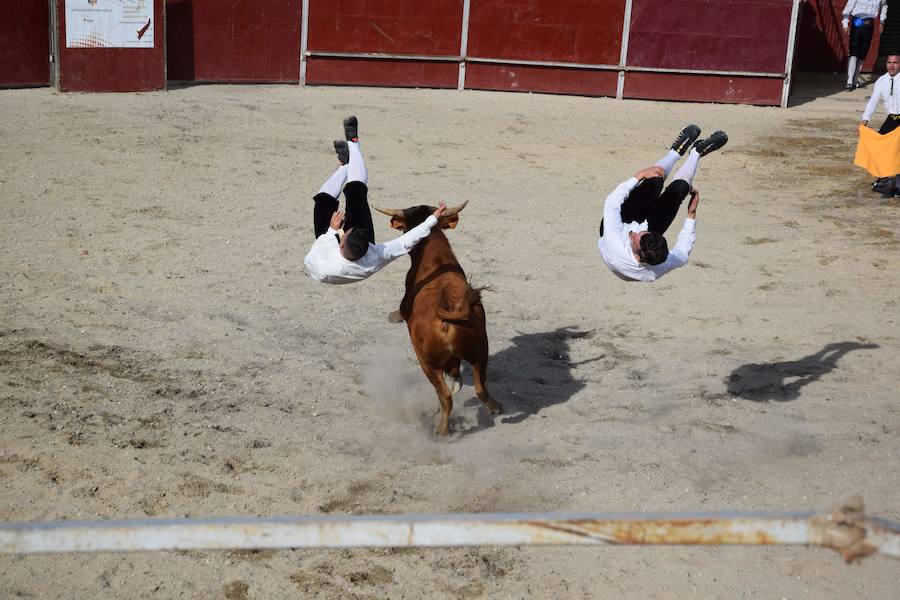 Espectáculo de cortes en Guardo