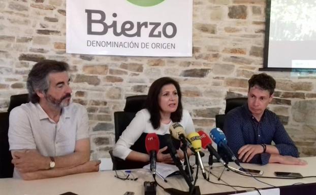 Bierzo Enoturismo ampliará su oferta turística con el avistamiento de osos pardos en libertad