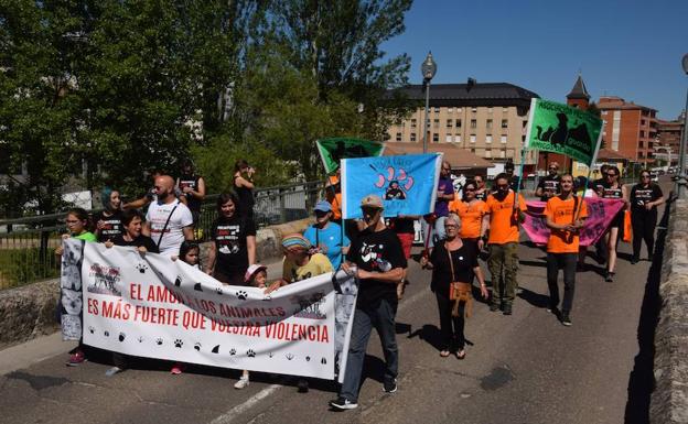 Los toros despiden las fiestas de Guardo