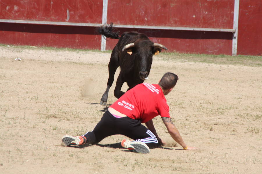 Fiestas de San Antonio en Navas de Oro