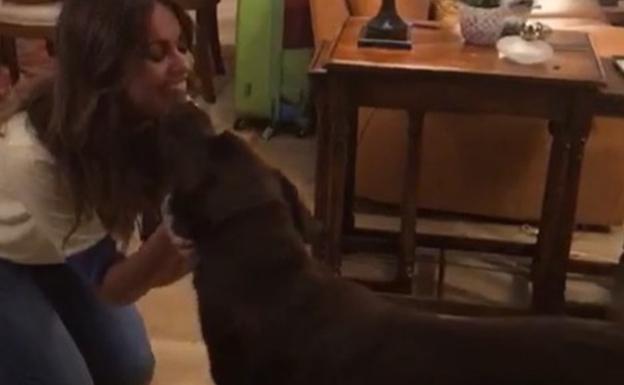 El reencuentro más especial de Lara Álvarez tras 'Supervivientes'