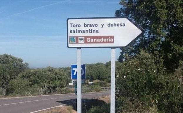 La Diputación señaliza la ruta turística del Toro Bravo y Dehesa Salmantina
