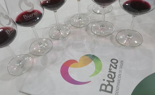 La cosecha del 2017 de los vinos de la DO Bierzo es «muy buena»