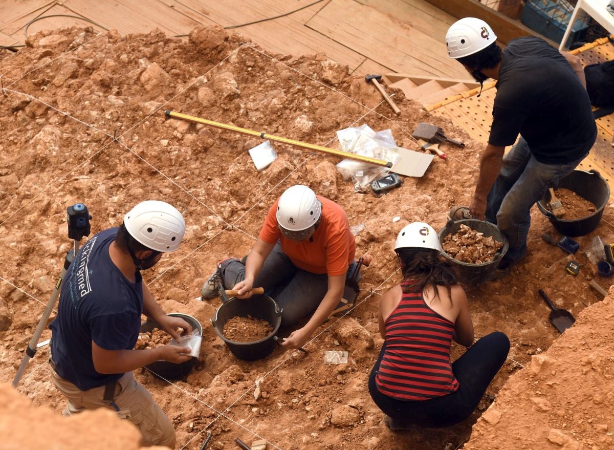 La campaña de excavaciones en Atapuerca ya está a pleno rendimiento