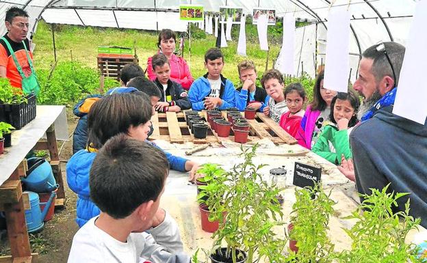 ¿De dónde salen las verduras?