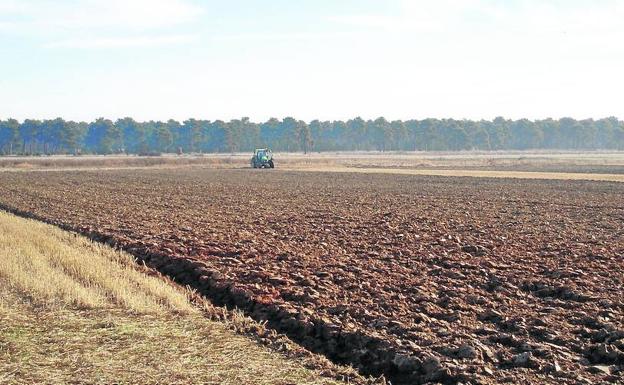 Los productores segovianos conocerán 'on line' la fertilidad de los suelos