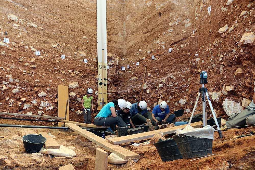 Última campaña del TD10 en Gran Dolina