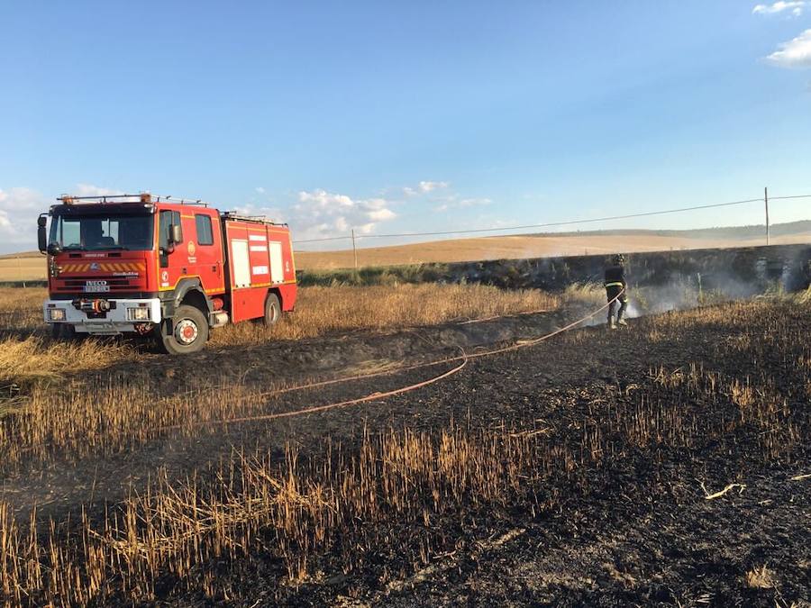 Un incendio arrasa cuatro hectáreas de cereal en Valladolid