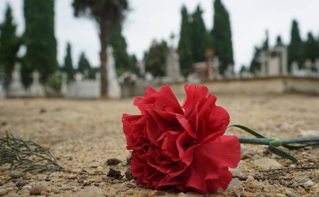 Un memorial conservará los restos de los 247 exhumados en el cementerio de El Carmen de Valladolid