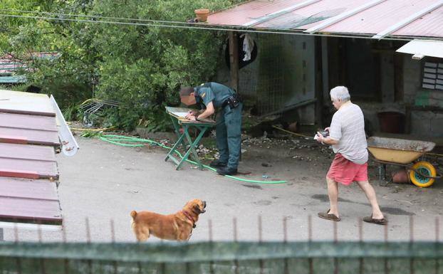 Fallece un hombre de 87 años tras el ataque de seis perros en Asturias