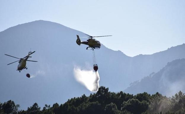 El fin de semana deja tres incendios en la provincia de Ávila, dos de ellos intencionados