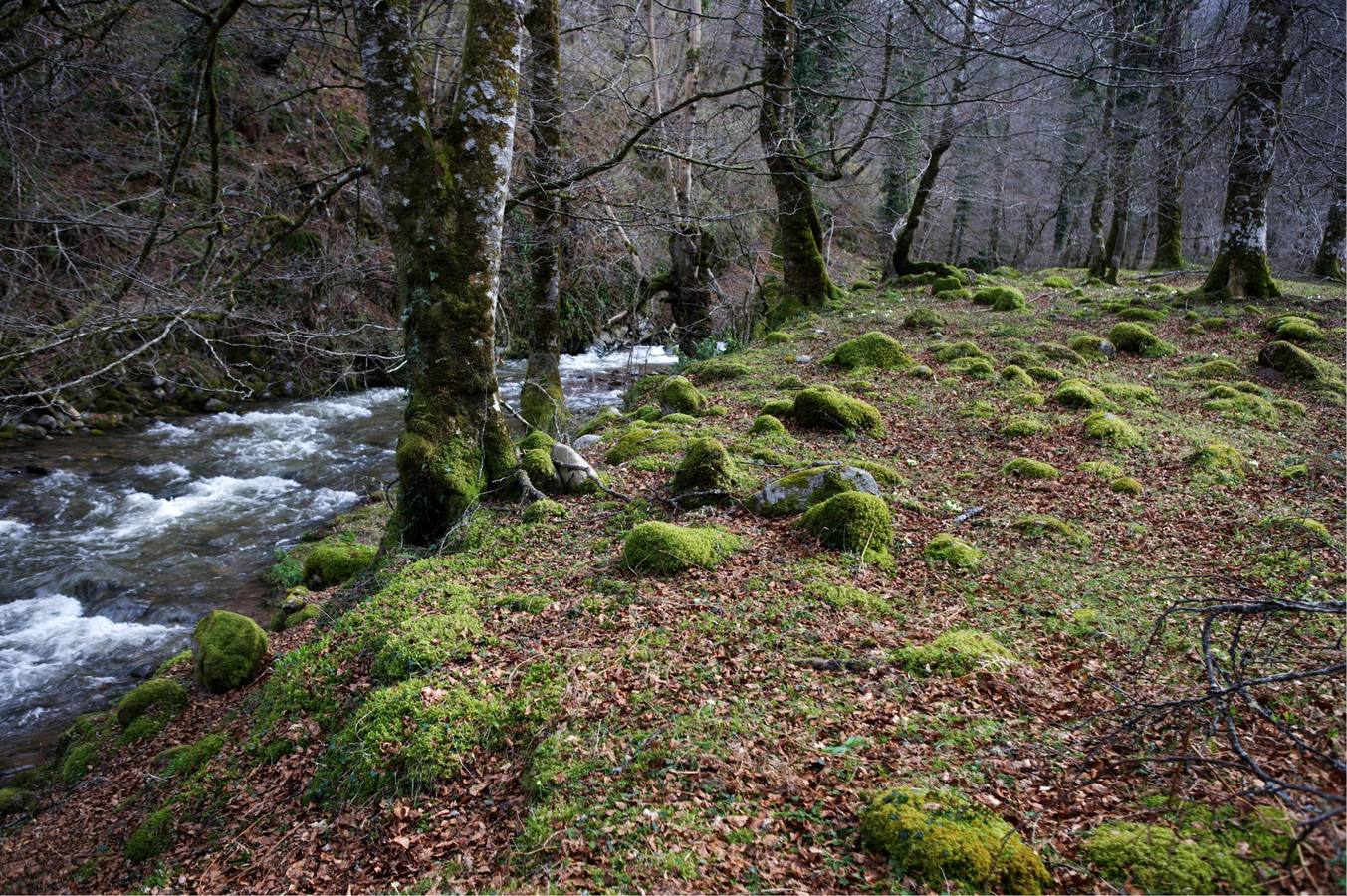 Rutas para disfrutar de la naturaleza