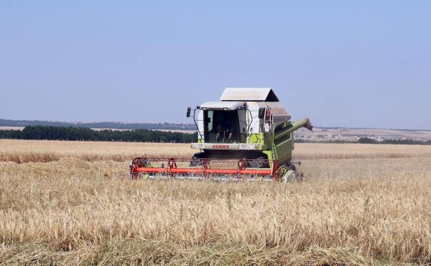 Los agricultores esperan una buena cosecha tras un año de meteorología atípica