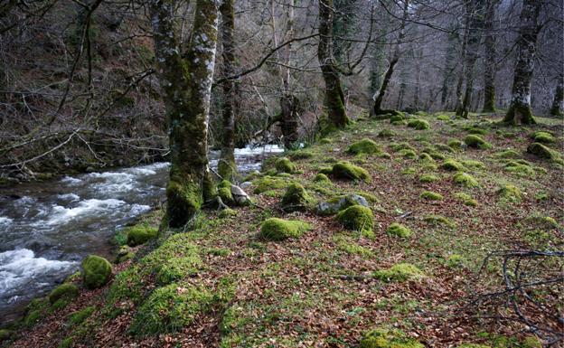 Diez rutas para disfrutar de la naturaleza