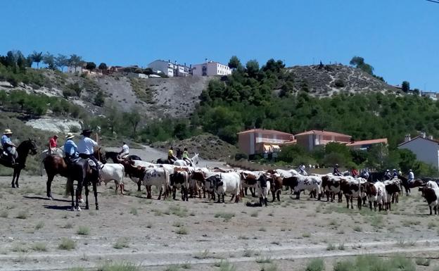 Portillo celebra su III Feria de la Trashumancia