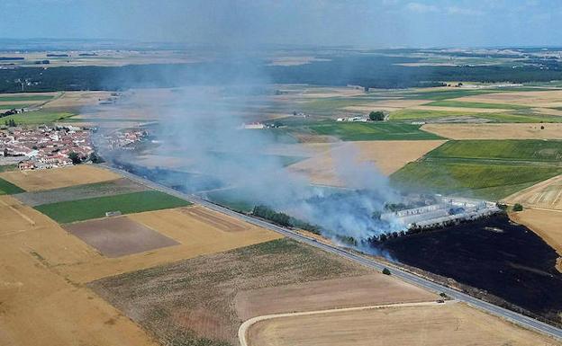 Un incendio causa la muerte de 220 cerdos en Veganzones