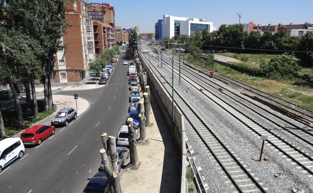 Poda radical en la avenida de Irún de Valladolid