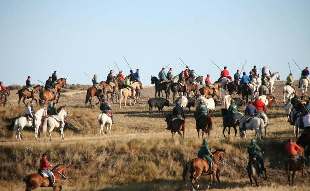 Guardia Civil a caballo volverá a vigilar los encierros de Cuéllar