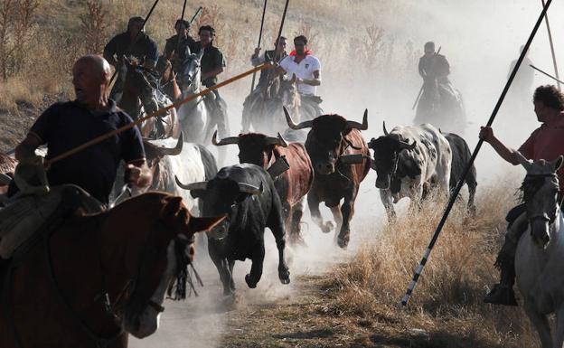 Entre el 20% y el 30% del presupuesto de festejos va para los toros