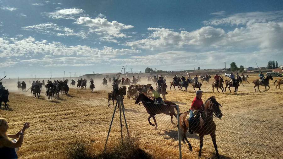 Navas de Oro triplica su población durante sus fiestas taurinas