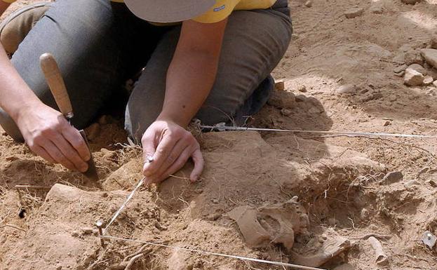 Los restos de 200 asesinados en la guerra permanecen en las cunetas de Segovia