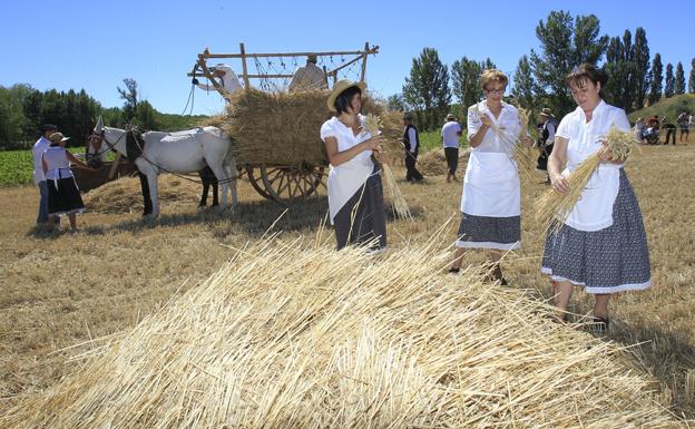 Castrillo de Villavega anima a participar en su XVIII 'Fiesta de la Trilla'