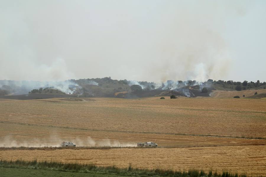Un incendio quema varias hectáreas de cereal y monte en Vertavillo