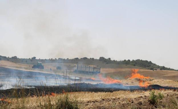 Un incendio calcina 62 hectáreas de cereal y monte en Vertavillo