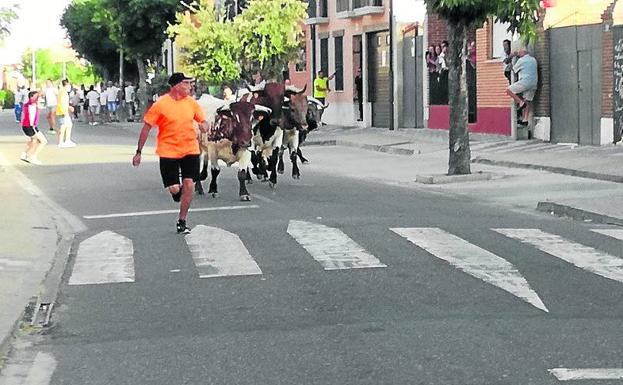 Dos personas sufren lesiones en los festejos taurinos de La Seca