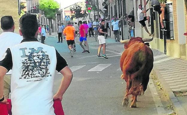 Un vecino de Pollos recibe dos cornadas en el encierro de La Seca