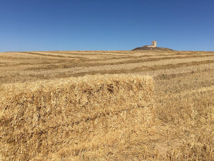 'Un día por tu pueblo' en Mota del Marqués