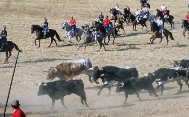 Apuesta decidida por los toros