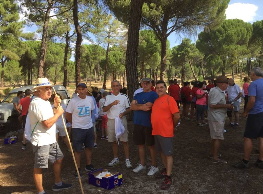 Dos marchas solidarias recaudan fondos para investigar contra el cáncer